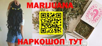 тгк Новодвинск