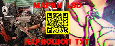 индика Новозыбков