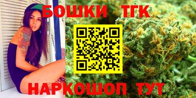 индика Новозыбков