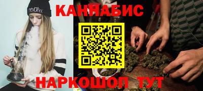 индика Новозыбков