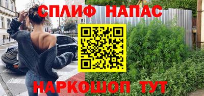тгк Новодвинск