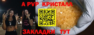 индика Новозыбков