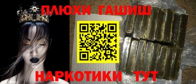 индика Новозыбков