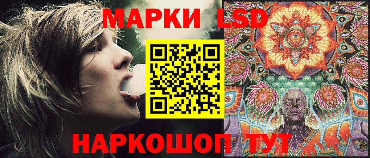 МЕФ Туймазы