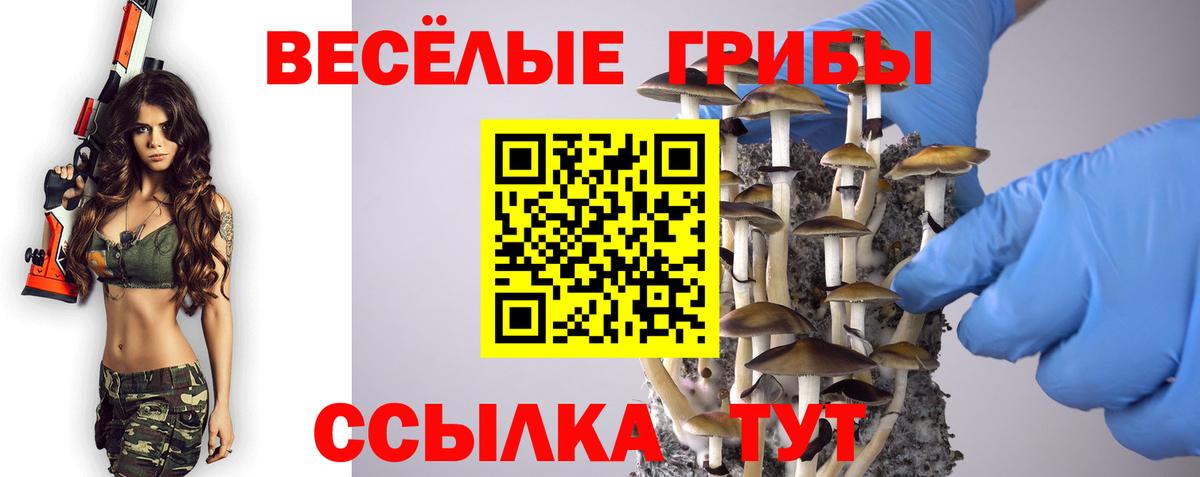 Галлюциногенные грибы прущие грибы Туймазы