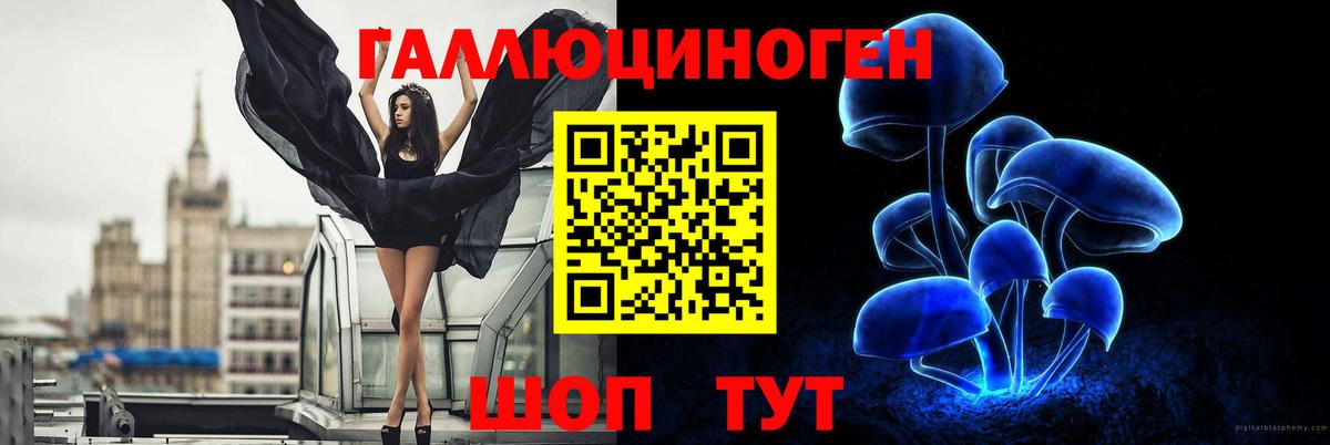 Туймазы  Галлюциногенные грибы Cubensis  Псилоцибиновые грибы мицелий  Вход с VPN 